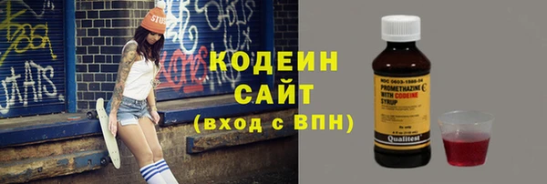 молекула духа Белокуриха