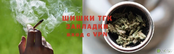 МДПВ Богородск