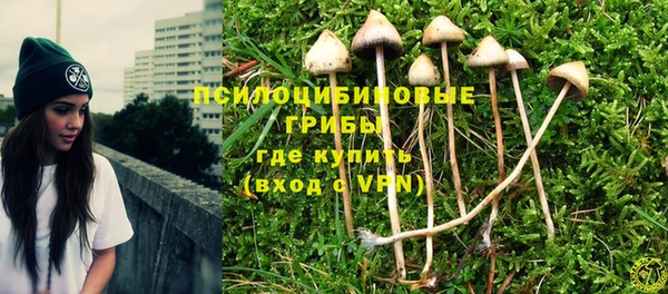 трава Рославль