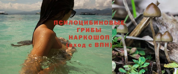 гидра Беломорск