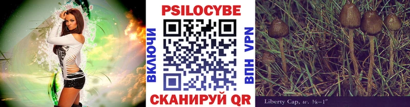 где купить   Нариманов  shop состав  Псилоцибиновые грибы мицелий 